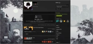 Conta steam Level 100 com CS:GO GC + FACEIT