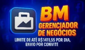Facebook Ads - Bm Gerente De Negócios Antiga - Others