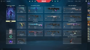 Conta Full acesso com todas skins saqueadoras - Valorant