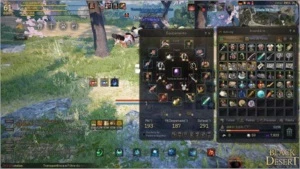 Conta Black Desert High end - Witch lvl 61 - Outros