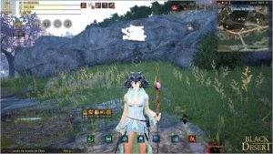 Conta Black Desert High end - Witch lvl 61 - Outros