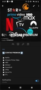⭐GRUPO PRIVADO DE CONTAS PREMIUM ⭐ - Outros