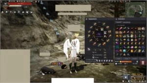 Conta Black Desert Online main Valkyria lvl 58 e + - Outros