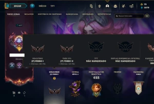 Ferro 1 com 140 Champs e 324 Skin ( MAIN SUP ) + 4 Prestigio