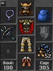 Royal Paladin 250 Irmada (pvp) - Tibia