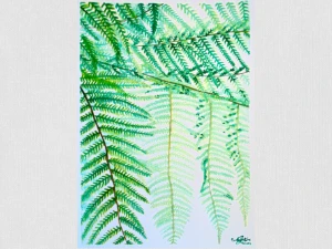 Aquarela Original Samambaia A3 - Sem Moldura