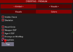 Valorant Hack Private | Cybertins 👾 - Semanal