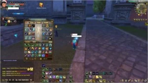 V> Conta WR LVL 100 Reborn 1 | Set do Rei Leão 99 - Perfect World PW