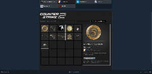 Steam com CS:GO Insígnia 5 Anos - Counter Strike