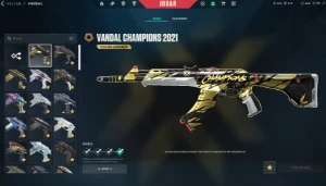 Conta Valorant - R$6500 em skins, champions 2021 e etc