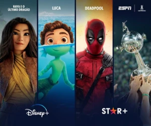 Disney+Star Combo Tela Privada 30 Dias+Suporte Sem Erro - Assinaturas e Premium