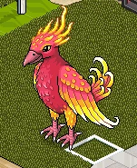 A Grande Fênix - Habbo
