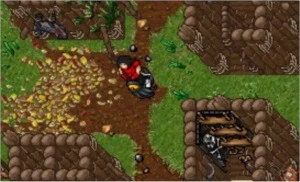 VENDO ED 402 - Tibia
