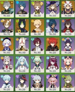 Ar45  Itto+arma,Alhaitham,Diluc,Qiqi,Tighnari+Espada Celesti - Genshin Impact