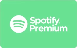 Spotify Premium 1 ano