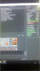 Sell Paladin 165 + Knight 103 + Knight 104 + Sorcerer 15 - Tibia