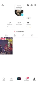 Conta de tik tok 453 seguidores real 