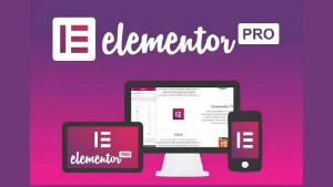 Elementor Pro- Ultima Atualizado - Licença Original - Outros