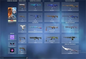 Conta de Valorant com várias Skins - MUITO BARATO