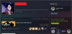 Conta lvl 20 GC, 6 medalhas, CSGO Prime - Counter Strike