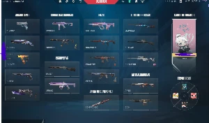 conta valorant varias skins e faca vct