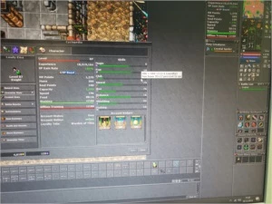 RP LVL 224 BELOBRA / RP LVL 132 GENTEBRA / EK LVL 87 BELOBRA - Tibia