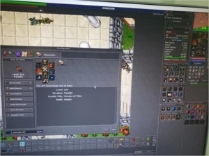 RP LVL 224 BELOBRA / RP LVL 132 GENTEBRA / EK LVL 87 BELOBRA - Tibia