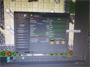 RP LVL 224 BELOBRA / RP LVL 132 GENTEBRA / EK LVL 87 BELOBRA - Tibia