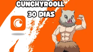 Crunchyrol Acesso 30 Dias| Oferta Relâmpago | - Assinaturas e Premium