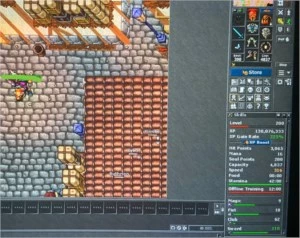 ED 415 Serdebra ED 440 Kalibra RP 319Serdebra EK200Kalibra + - Tibia