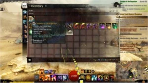 Conta Guild Wars 2 Pof Deluxe e Hof - Outros