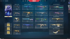 Conta Valorant Com Muita Skin (aceito propostas)