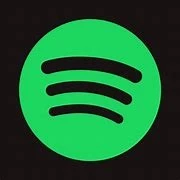 SPOTIFY PREMIUM - 1 ANO - SOMENTE ANDROID - P. DIGITAL - Others