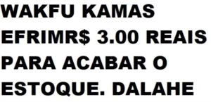 KAMAS EFRIM R$ 3.00 PARA TERMINAR O ESTOQUE - DALAHE - Wakfu