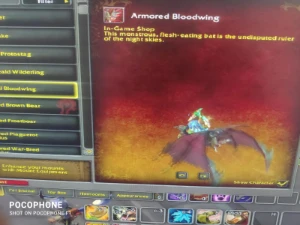 wow dragonflight CONTA - Blizzard