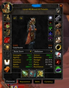 Paladin Protection 5.3 Gear PVE + Proffs