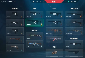 Conta de valorant full acesso com varias skin de vandal