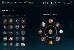 Conta Colecionador League Of Legends / Wild Rift / Valorant LOL