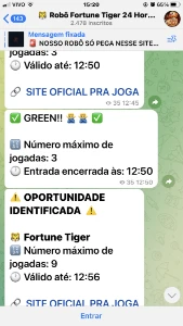 Robo Fortune Tiger🐯🐯 - Outros