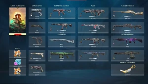 Conta Valorant Muitas Skins | ancifogo, gaia, protocolo