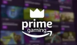 Prime Gaming + Sub da Twitch [JOGOS PC e Xbox] - Premium