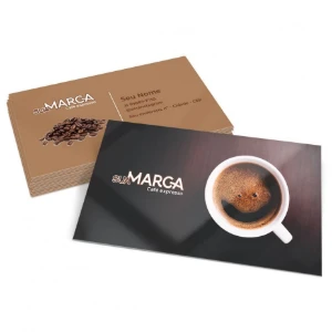 Cartão de Visita Couchê 300g