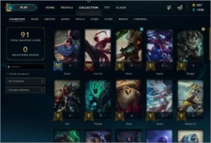 SMURF/PRINCIPAL COMPLETA BARATO - League of Legends LOL