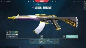 Conta valorant platina 3 com skins