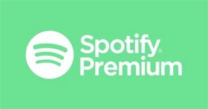 (PROMOÇÃO)SPOTIFY PREMIUM CONTA 1 ANO - Assinaturas e Premium