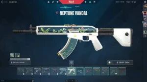 Conta Valorant com skins plat
