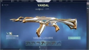 Conta valorant com 900 reais em skins!!