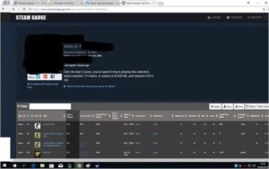 Steam lvl 13