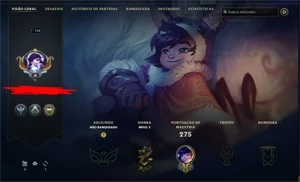 Conta perfeita para você que gosta de ter varias skins - League of Legends LOL
