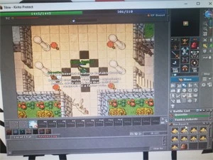 Vendo pally 173 tibia global